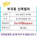 부곡동 금정세무서 앞 이미지