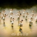 한국무용 충청신문