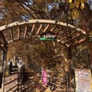 한국불교치악산관음사 | [강원도 원주시] [치악산 둘레길 1코스] 꽃밭머리길