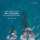 행복한영광교회, 생명나무교회 | 우리의 운명을 바꿔주신 하늘 어머니, 하나님의 교회, 어머니 하나님