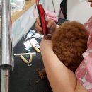 남창원동물병원 이미지