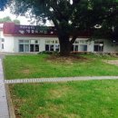 하원초등학교 병설유치원 이미지