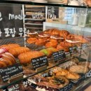 연세정수영내과의원 이미지