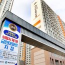 보령1호 이미지