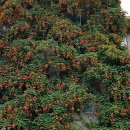 대봉1동주민센터 이미지