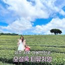 구들티농장1 | 제주 가족여행 필수 코스 오설록 티뮤지엄 녹차밭 카페 방문 후기
