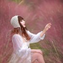 달성노을공원 티스토리