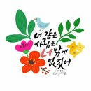 주랑이네