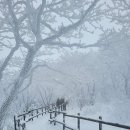 설화 - 노원구 상계로5길 12 | 설화