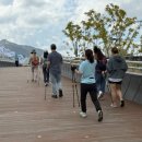 이혈요법 이미지