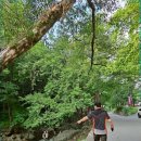 약수슈퍼 이미지