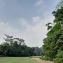 리버사이드골프클럽 이미지