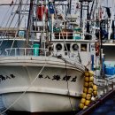 원양참치 | 원양어선 월급 총정리