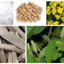 온누리평안약국 이미지