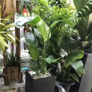 산호동486 이미지