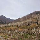 계월농장 이미지