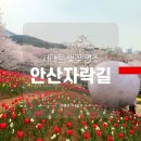 안산자락길 숲속카페 이미지