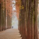 (주)서목 이미지