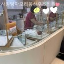 (주)사임당아모리움산후조리원 | 서울 서초동 산후조리원 사임당아모리움산후조리원 후기 리뷰 만족도 인기순