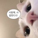 이루팜 - 수성구 달구벌대로 2315 | 이루팜
