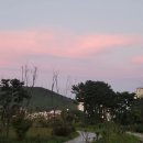 넙뒤공원 이미지