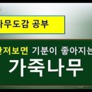 나무샘
