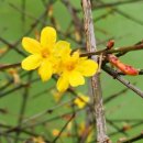 세종세탁 이미지