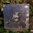 파로호 습지~고대리 자전거도로 | 양구 가볼만한곳 한반도섬 야간개장 반려견 동반