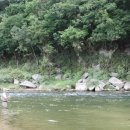 산내들민박 이미지