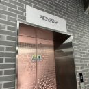 힐세탁 | 삼척 장호항 숙소 힐스노클비치호텔 후기 루프탑 수영장