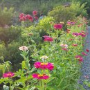 홍천강 오토캠핑장 이미지