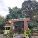 포레스트 12 자연휴양림 이미지