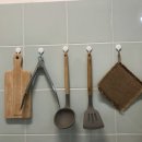 세오니네 이미지