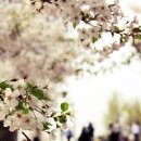 호암어린이공원1 이미지