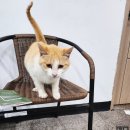 석모1호