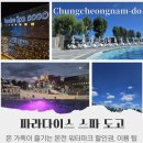 힐링엔젤스울 | 파라다이스 도고 스파 수영장 아이와 워터파크 푸드코트 나이트 온천 아쿠아바 대만족 후기