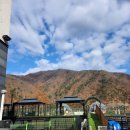 쁘띠독애견펜션 이미지