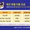 댕댕이 지구대 네이버블로그