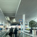 GS25창원프라하점 | 체코 여행 인천-프라하 아시아나 2터미널 후기 OZ0545 / OZ0546