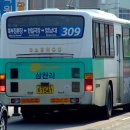 경산버스 911번 초저상버스 이미지