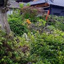 내고향공인중개사사무소 이미지