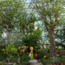 서울식물원 이미지