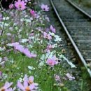 소소한하루 이미지