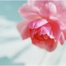 슈즈홀릭 이미지