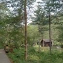 유명산자연휴양림 이미지