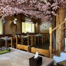 여우골옻닭 이미지