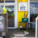 태위로663번길 | 감탄했던 제주 위미리 맛집 마므레