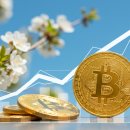 비트코인 2025 전망: 암호화폐 시장의 상승 동력과 투자 전략