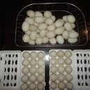 현미 사과 발효식초에 기러기알 (반드시 유정란)을 넣어 10일 이상 초산발효 시킨 기러기알초란 만들기 이미지