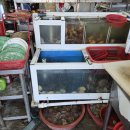 암남공원로 | 부산 송도 암남공원 조개구이 숙이네조개구이 내돈내먹 후기